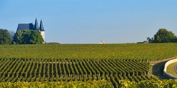 Western Europe Golf Cruise Vacation Package Bordeaux Vineyard - PerryGolf + Azamara Cruises